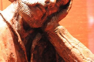 Museu de São Bento- BA