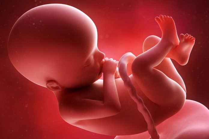 Jornal do Vaticano critica facilitação do aborto na Itália
